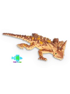 Детская игрушка животного в виде жабовидной ящерицы, меняющая цвет под водой W6328-74 