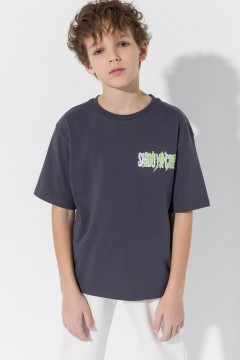 Стильная футболка для мальчика 10611SS23 Vulpes Familiy