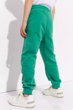 Зелёные брюки для мальчика 10956AW23 Vulpes Familiy(фото3)