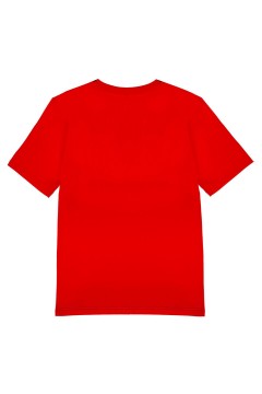 Трикотажная мужская футболка с принтом 12456012 Play Today(фото2)