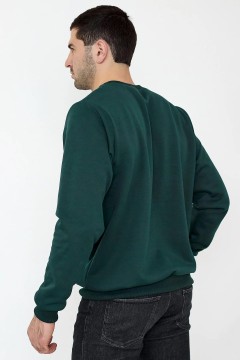 Тёплый мужской свитшот зелёного цвета 9811 Lika Dress man(фото3)