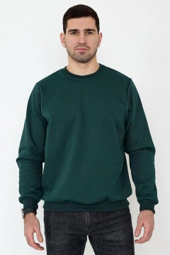 Тёплый мужской свитшот зелёного цвета 9811 Lika Dress man