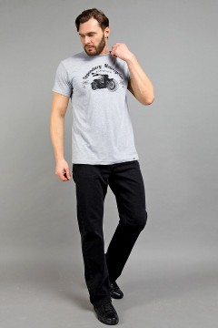 Серая мужская футболка с принтом 143062 F5 men(фото2)