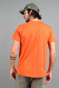 Мужская футболка с принтом в терракотовом цвете 143088 F5 men(фото3)