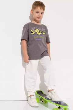 Серая футболка для мальчика с принтом 10929AW23 Vulpes Familiy(фото2)