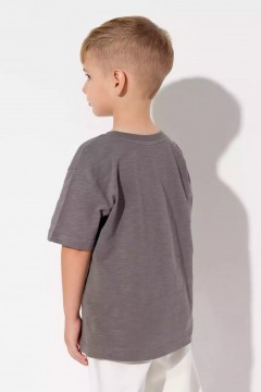 Серая футболка для мальчика с принтом 10929AW23 Vulpes Familiy(фото3)