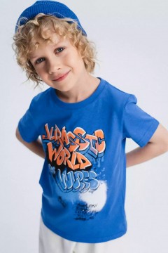 Синяя футболка с принтом для мальчика 4070/2SS24 Vulpes Familiy