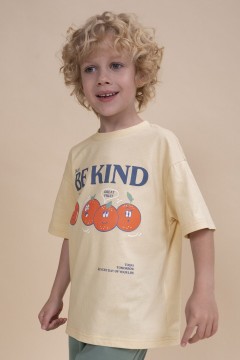 Стильная футболка с принтом для мальчика BFT3352/2U Pelican(фото3)