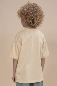 Стильная футболка с принтом для мальчика BFT3352/2U Pelican(фото4)