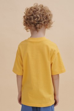 Красивая футболка в жёлтом цвете с принтом для мальчика BFT3352/4U Pelican(фото5)