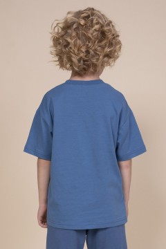 Красивая футболка с принтом для мальчика BFT3352/4U Pelican(фото4)