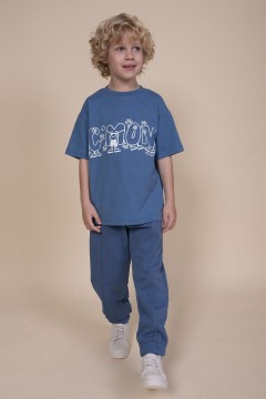 Красивая футболка с принтом для мальчика BFT3352/4U Pelican(фото2)
