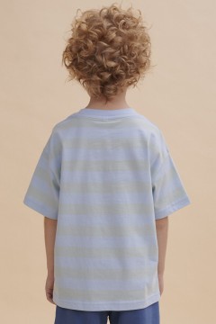 Оригинальная футболка голубого цвета с принтом для мальчика BFT3352/5U Pelican(фото3)