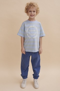 Оригинальная футболка голубого цвета с принтом для мальчика BFT3352/5U Pelican(фото2)