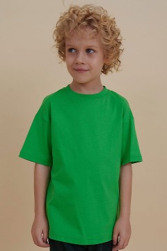 Удобная футболка в зелёном цвете и принтом для мальчика BFT3353/3U Pelican