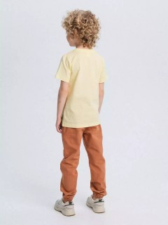 Красивая футболка в жёлтом цвете с принтом для мальчика 4070/1SS24 Vulpes Familiy(фото4)