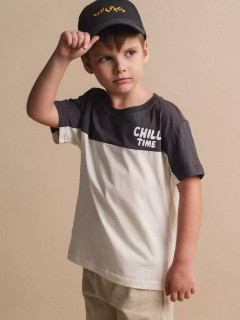 Интересная футболка для мальчика 10604/3SS24 Vulpes Familiy