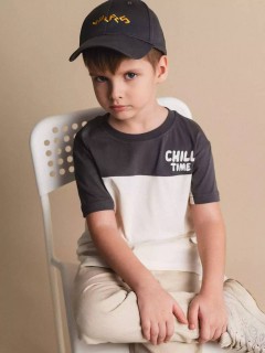 Интересная футболка для мальчика 10604/3SS24 Vulpes Familiy(фото2)