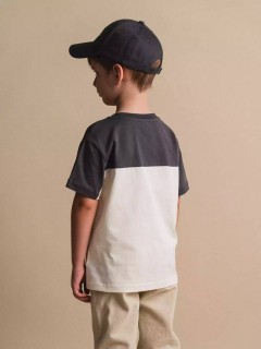Интересная футболка для мальчика 10604/3SS24 Vulpes Familiy(фото3)