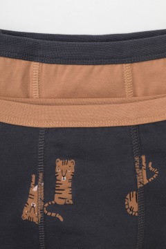 Интересные трусы с принтом для мальчика К 1980-2уп/индийский загар,темно-серый,тигры трусы Crockid(фото2)