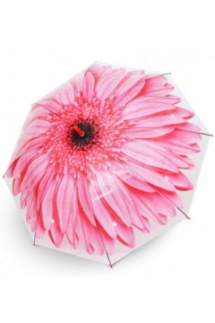 Зонтик цветок розовый Familiy
