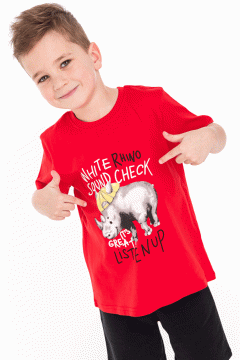 Яркая футболка для мальчика 1618AW21 Vulpes Familiy