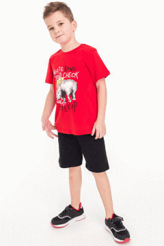 Яркая футболка для мальчика 1618AW21 Vulpes Familiy(фото2)