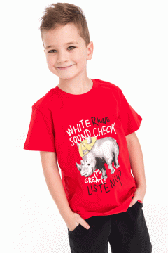 Яркая футболка для мальчика 1618AW21 Vulpes Familiy(фото3)