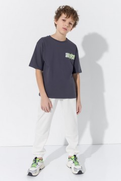 Стильная футболка для мальчика 10611SS23 Vulpes Familiy(фото2)