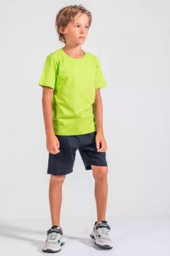 Зелёная футболка для мальчика RFSM002 Vulpes Familiy(фото2)