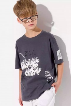 Серая футболка для мальчика 10980AW23 Vulpes Familiy
