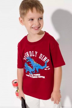 Бордовая футболка для мальчика с принтом 10926/1AW23 Vulpes Familiy