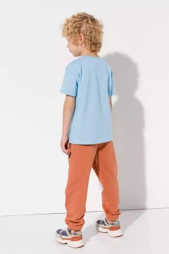 Голубая футболка для мальчика с принтом 10925/1AW23 Vulpes Familiy(фото3)