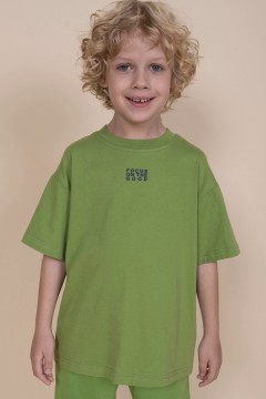 Стильная футболка с принтом для мальчика BFT3354/3  Pelican