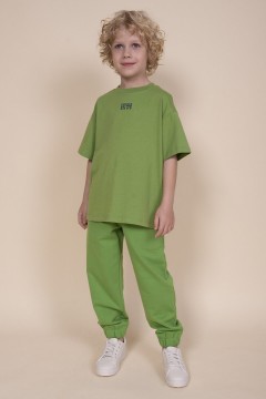 Стильная футболка с принтом для мальчика BFT3354/3  Pelican(фото2)