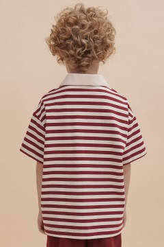 Полосатая футболка-поло для мальчика BFTP3354   Pelican(фото3)