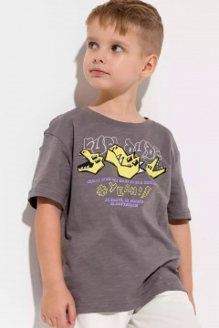 Серая футболка для мальчика с принтом 10929AW23 Vulpes Familiy