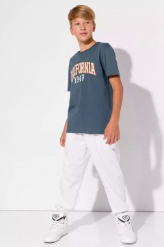 Модная футболка для мальчика с принтом 10976/1AW23 Vulpes Familiy(фото2)