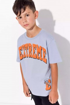 Стильная футболка для мальчика с принтом 10979AW23 Vulpes Familiy