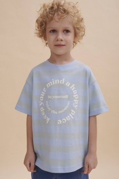 Оригинальная футболка голубого цвета с принтом для мальчика BFT3352/5U Pelican