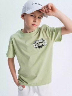 Красивая футболка в зелёном цвете с принтом для мальчика 10604/22SS24 Vulpes Familiy