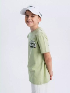 Красивая футболка в зелёном цвете с принтом для мальчика 10604/22SS24 Vulpes Familiy(фото2)