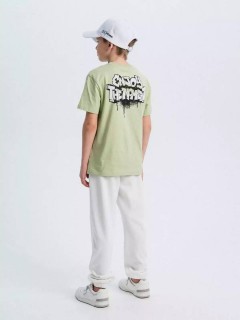Красивая футболка в зелёном цвете с принтом для мальчика 10604/22SS24 Vulpes Familiy(фото3)