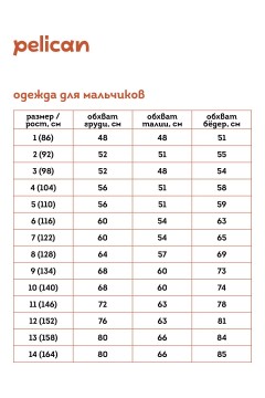 Брюки синего цвета для мальчика BFPQ7039 Pelican(фото8)