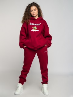 Брюки джоггеры с начёсом в бордовом цвете Kosmos(фото2)